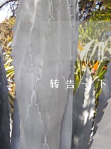 转告一下朋友 贷款逾期 转告一下朋友 贷款逾期